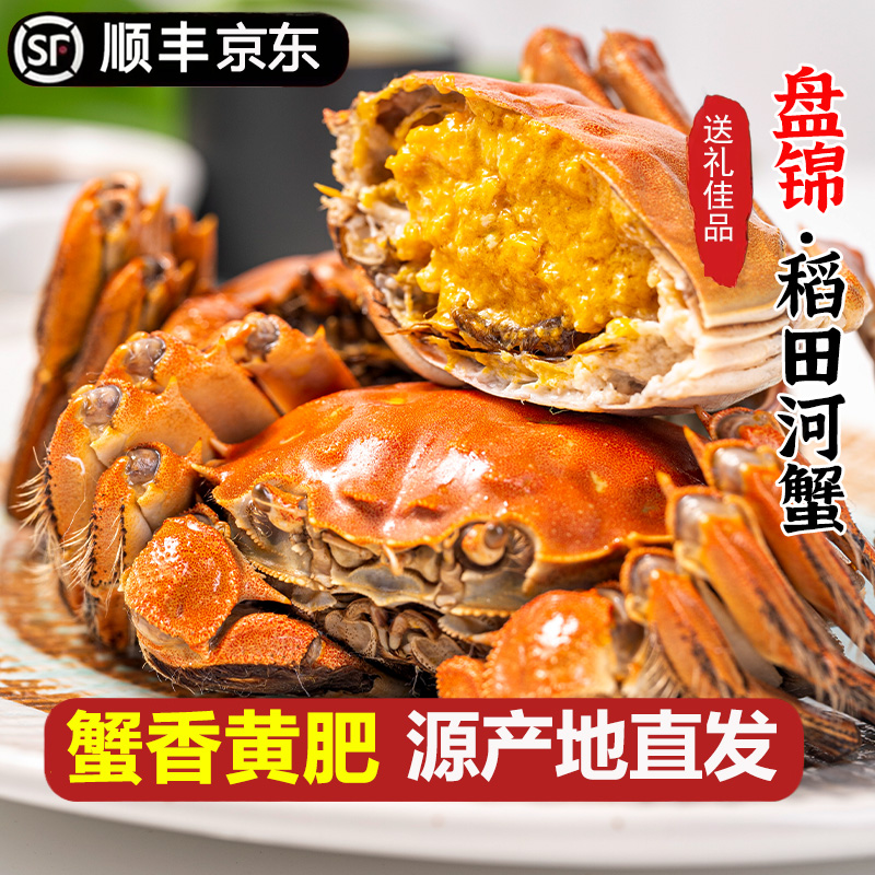 全母蟹【送12只】LM鲜活发货盘锦稻田河蟹0.8-1.3两/只共24只