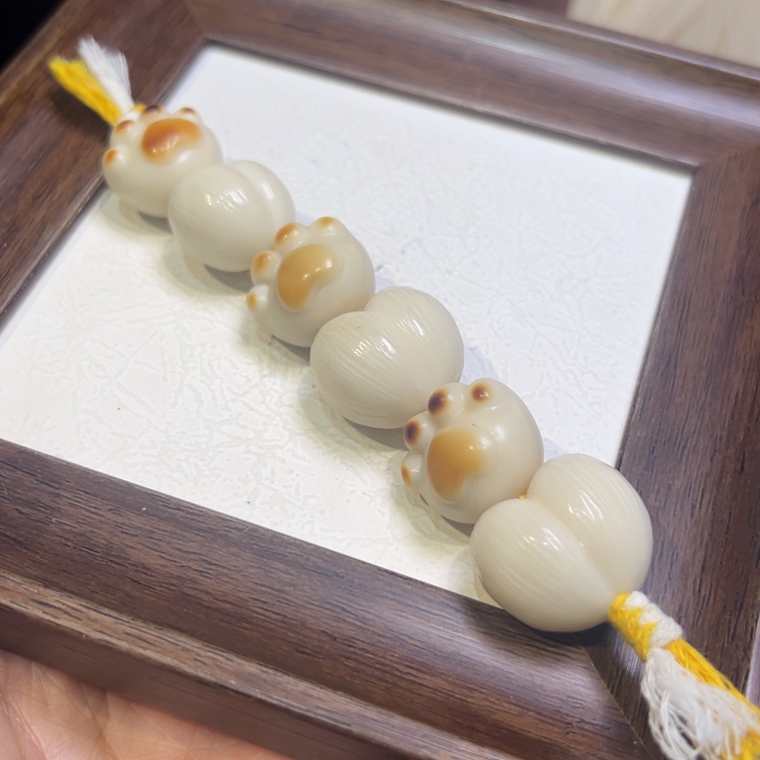 菩提籽类猫爪牙果棒棒微瑕福利