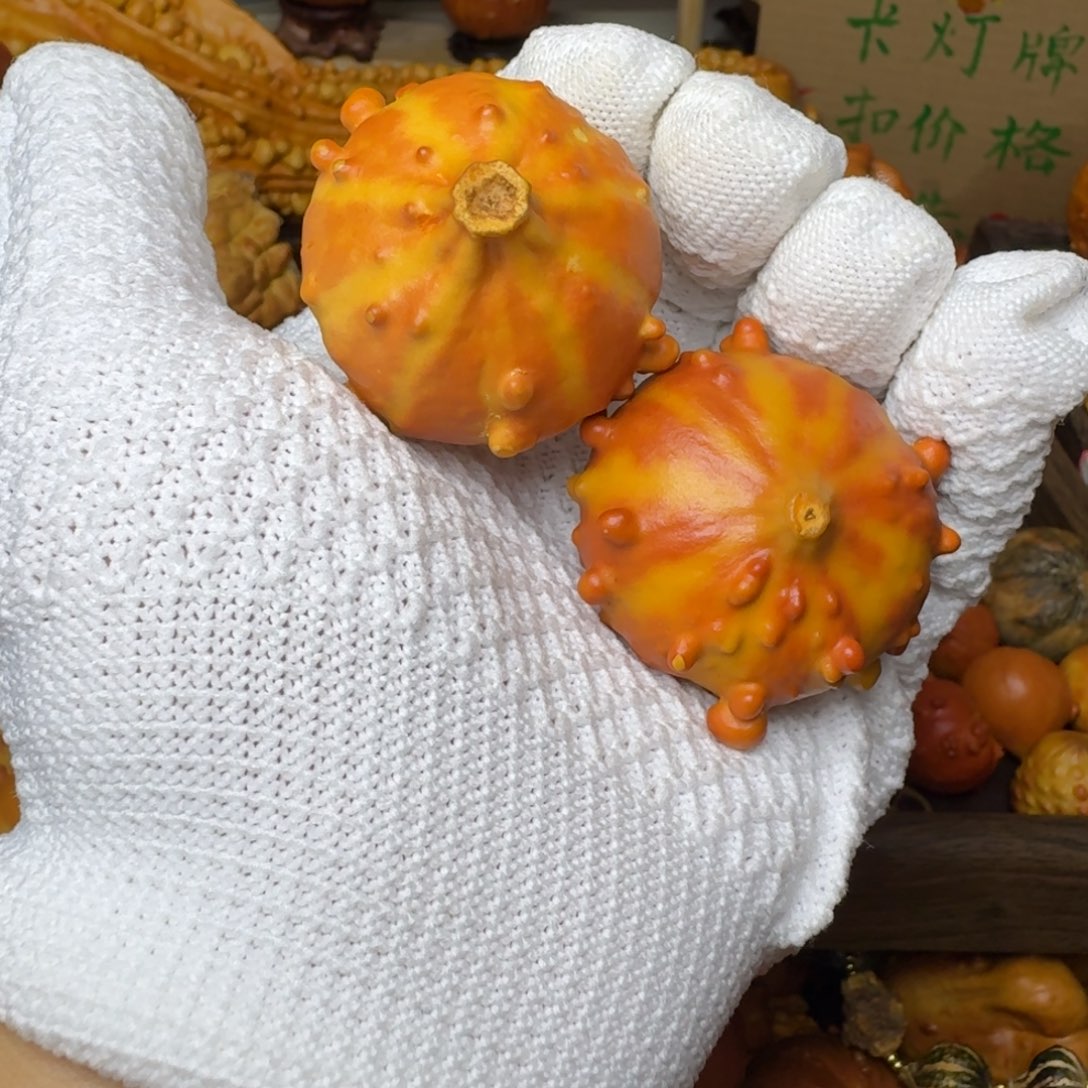 看***风特价葫芦不退不换