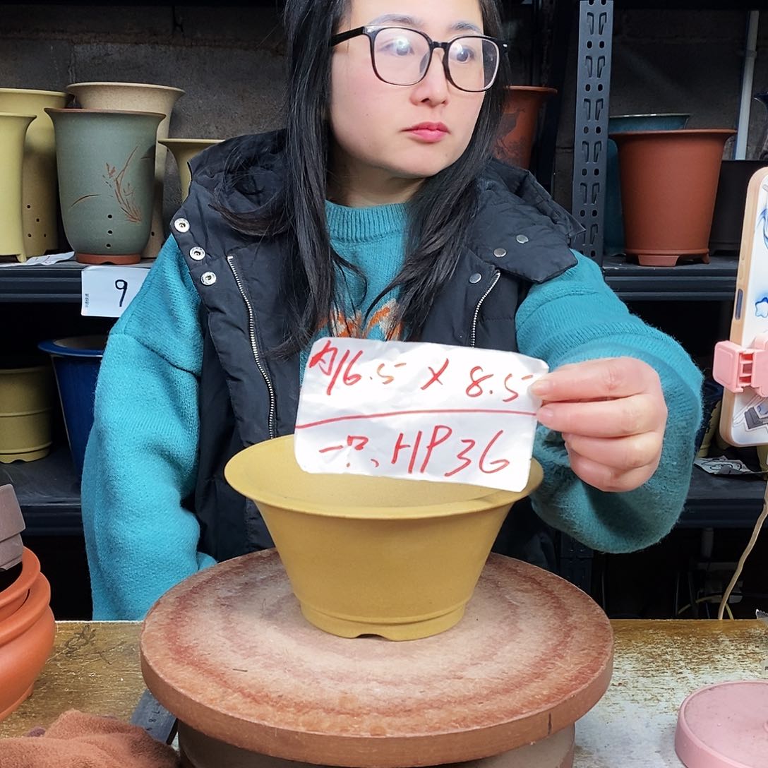 紫砂一只花盆货号HP36