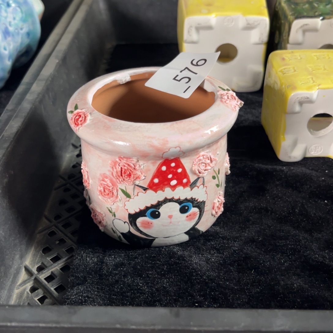 灵***灵576多肉花盆70元1个