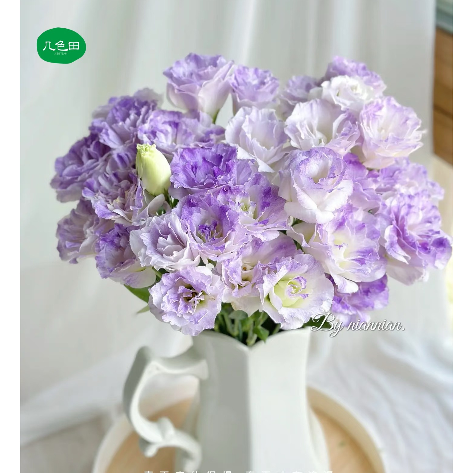 烟灰紫洋桔梗----800g云南直发鲜花云南花插花鲜花 