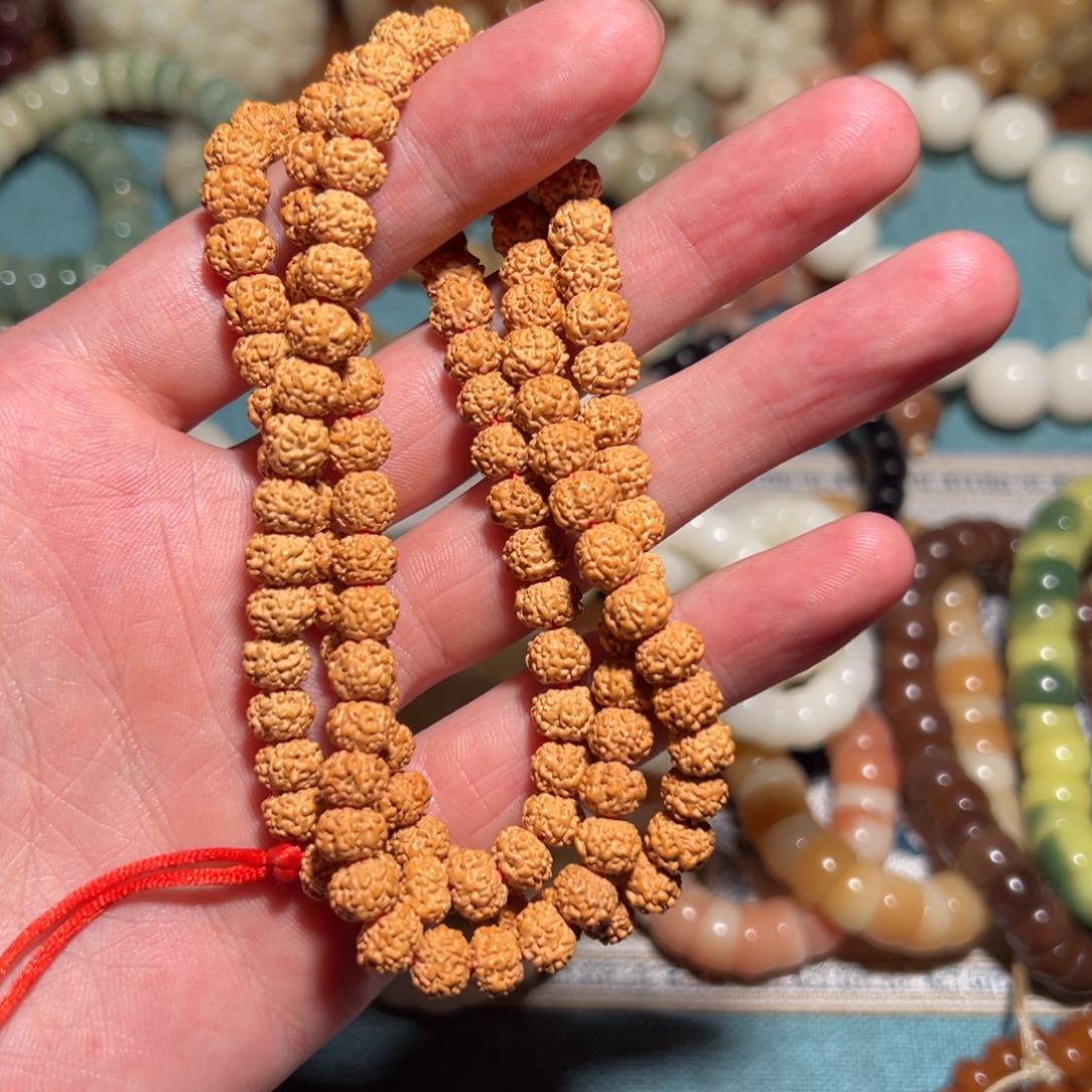 手串菩提根/象牙果