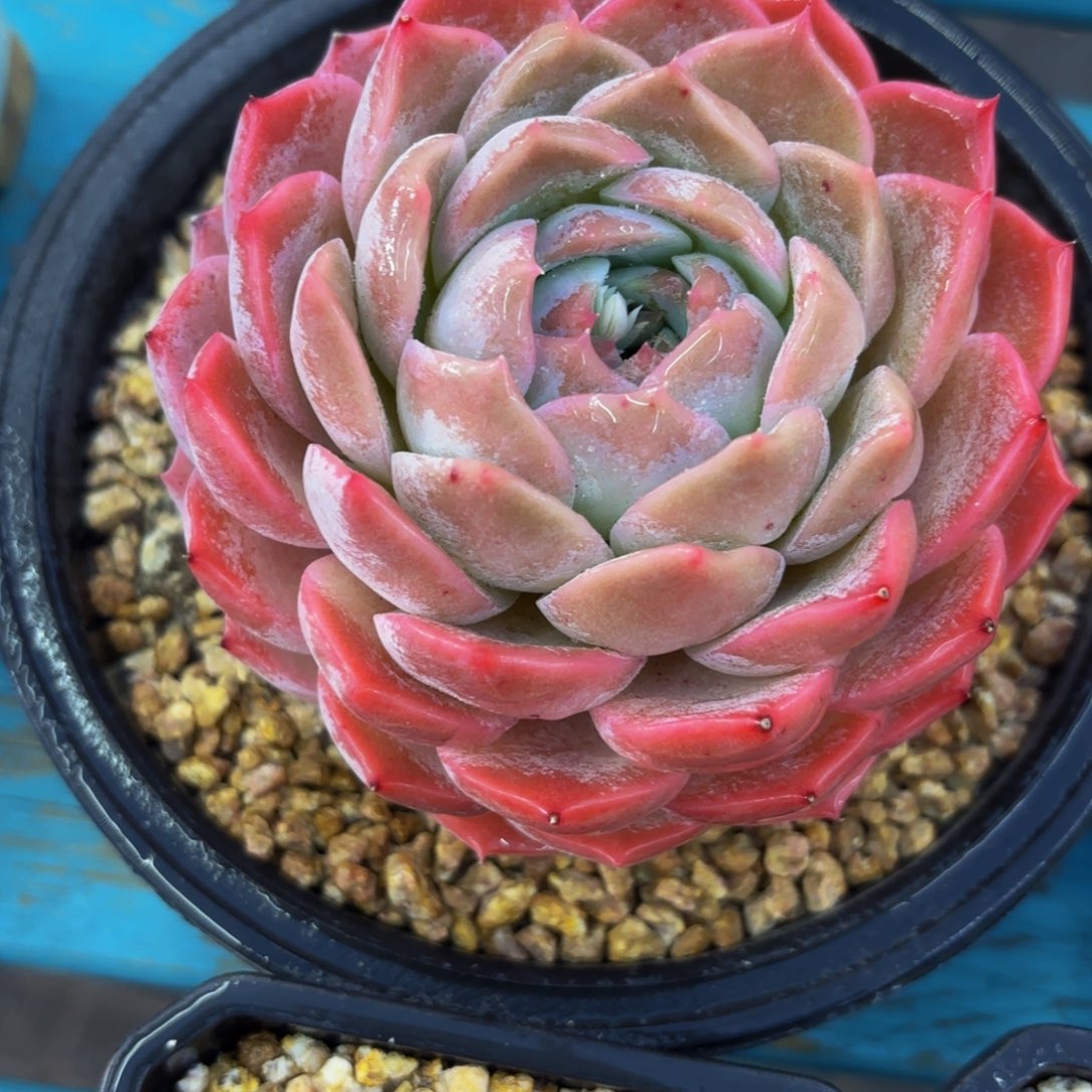 Hvknbnbbbvbjjvbkjnbb