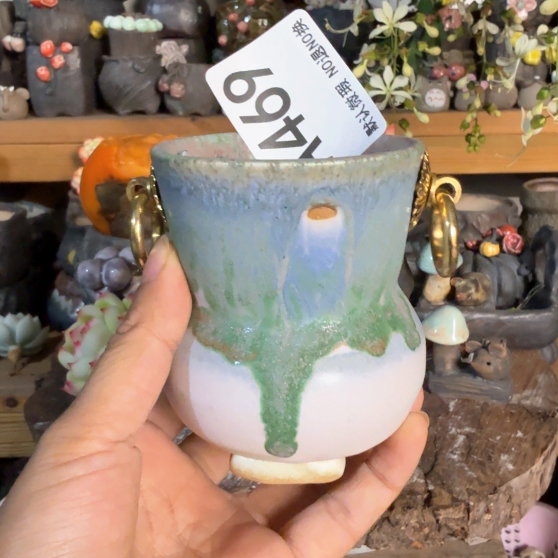 重庆小燕子欢迎大家469