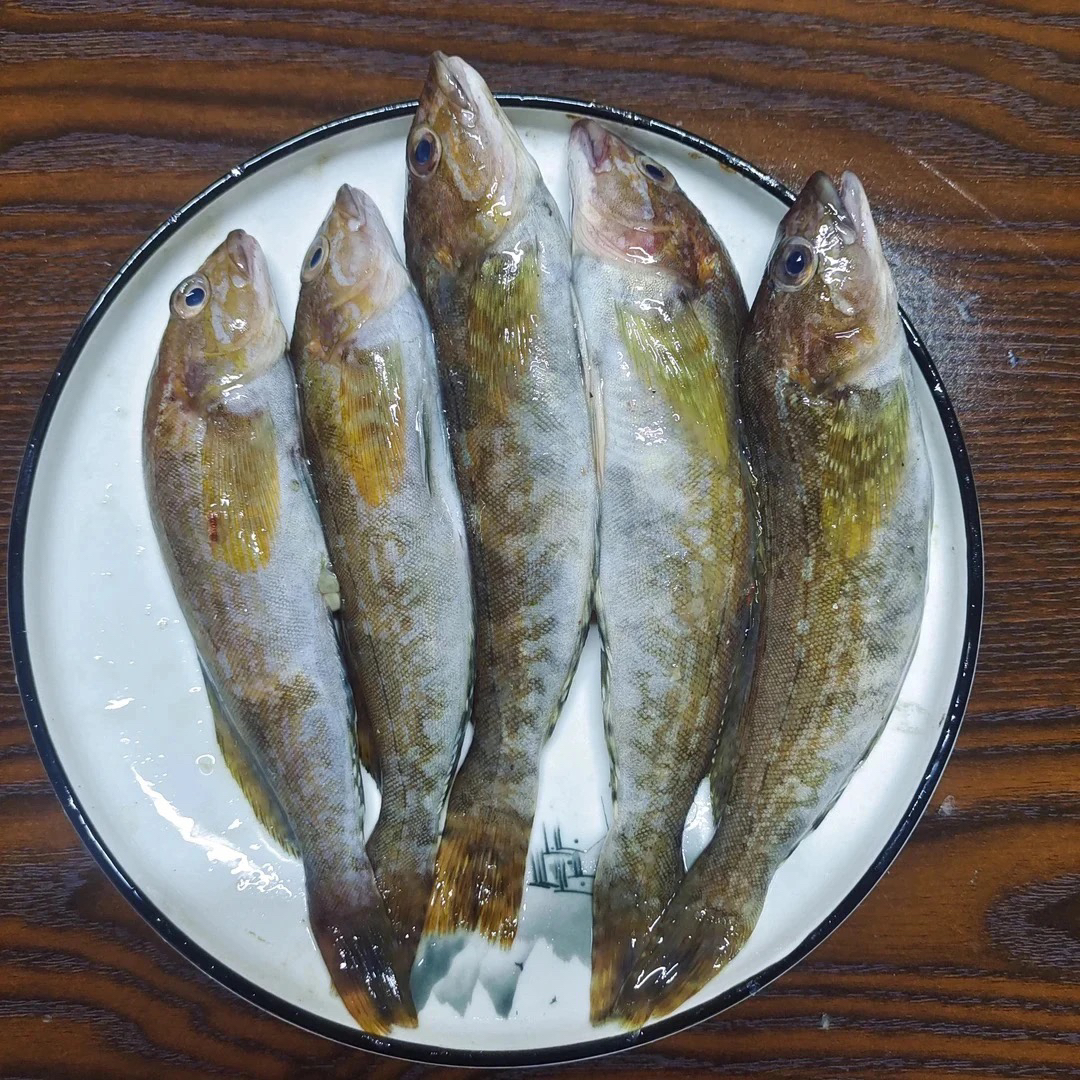 大连野生小黄鱼4斤顺丰包邮