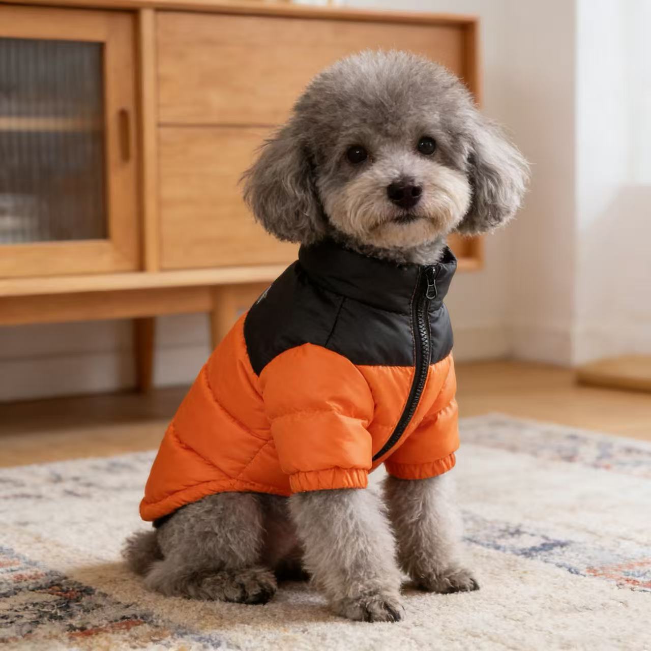 宠物小狗狗新年衣服冬季棉衣雪纳瑞柯基比熊博美小型犬保暖棉衣