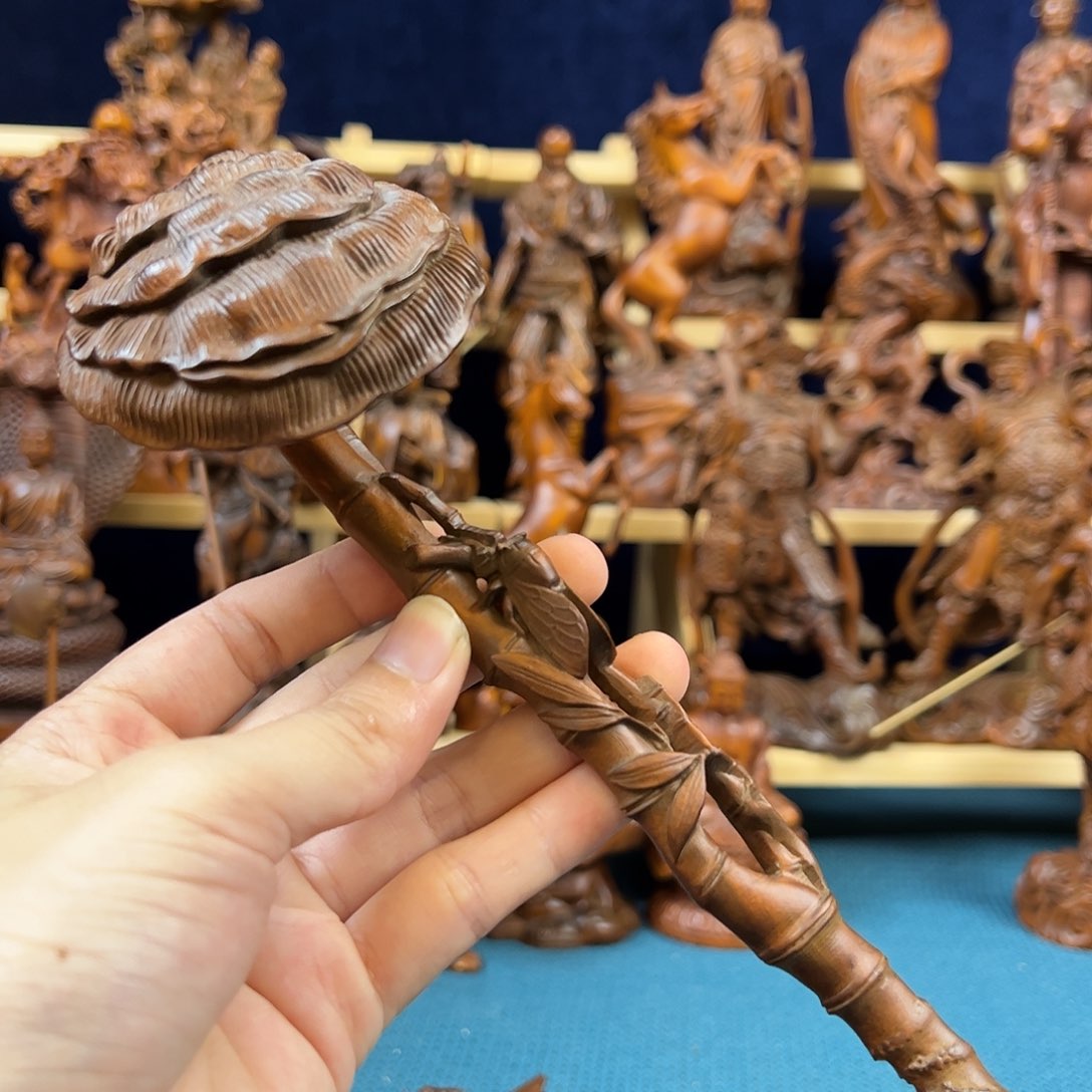 黄杨木小叶黄杨木