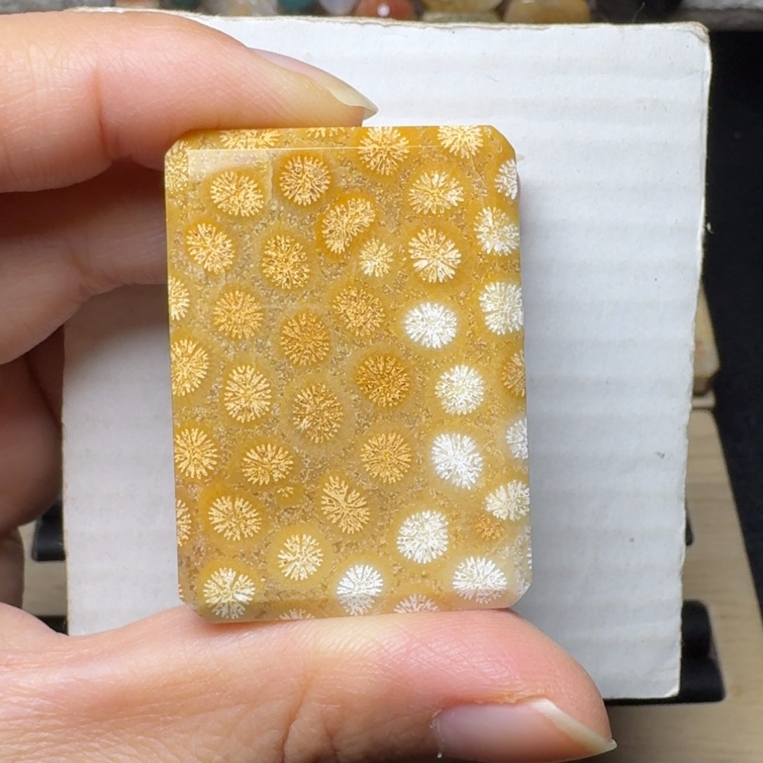 硅化玉未镶嵌清晰皮花，有点纹