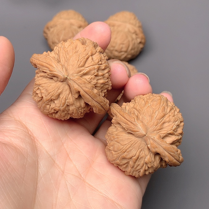 把件文玩核桃白狮子