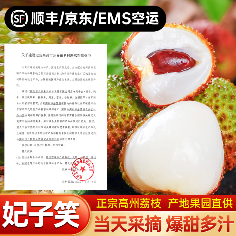 亮哥【头茬高州妃子笑荔枝】树熟新鲜现摘当季水果香甜饱满肉厚核小