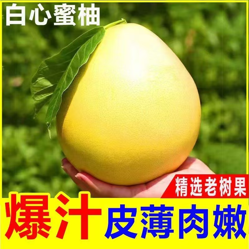白心蜜柚汁多味甜薄皮水果新鲜当季水果福建平和柚子白心大蜜柚