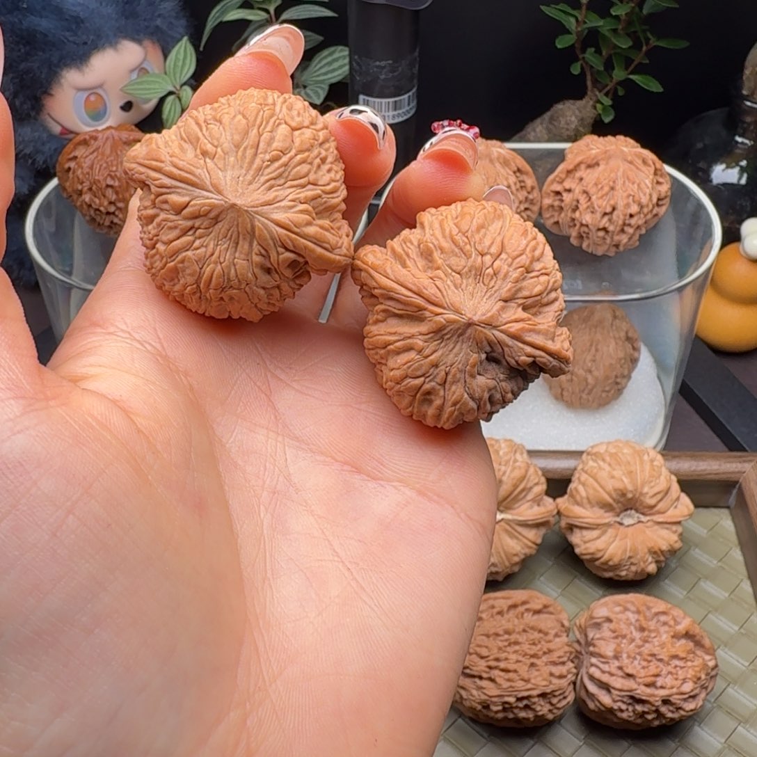 核桃全品泥鳅背40
