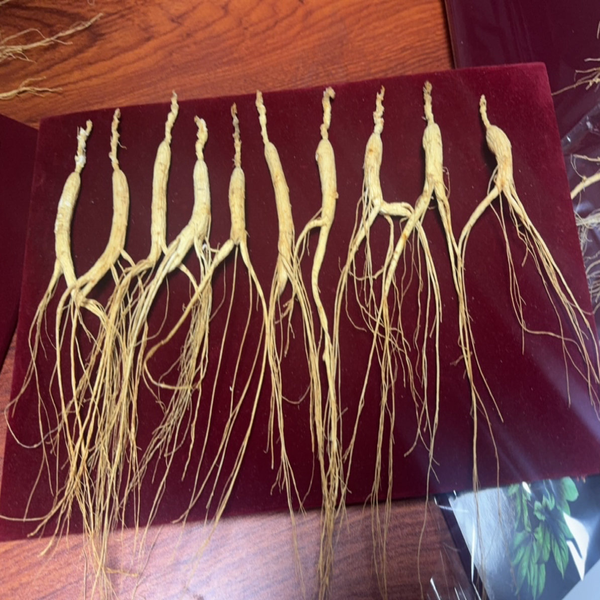 长白山人参~林下山参