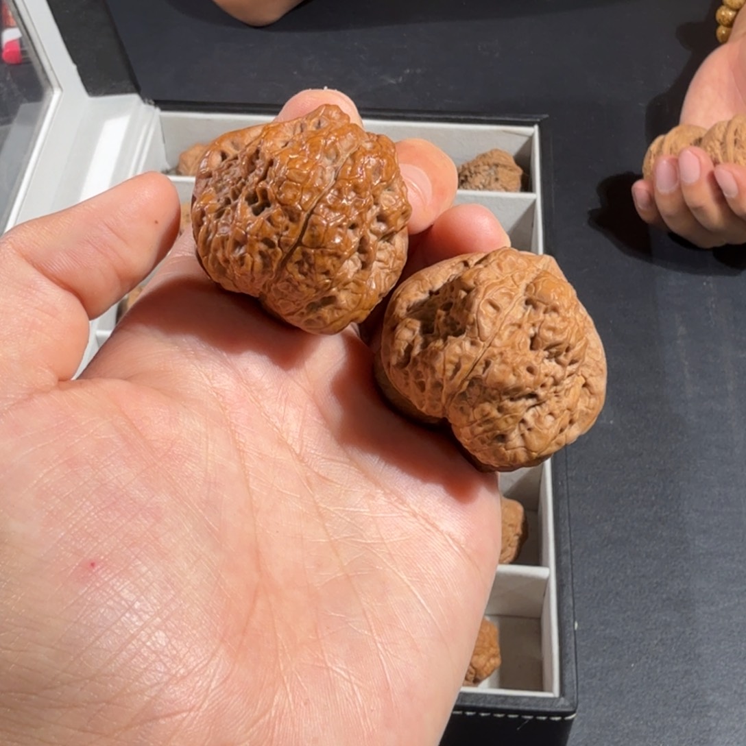 文玩核桃把件老张11号雪域蟾王三角全品