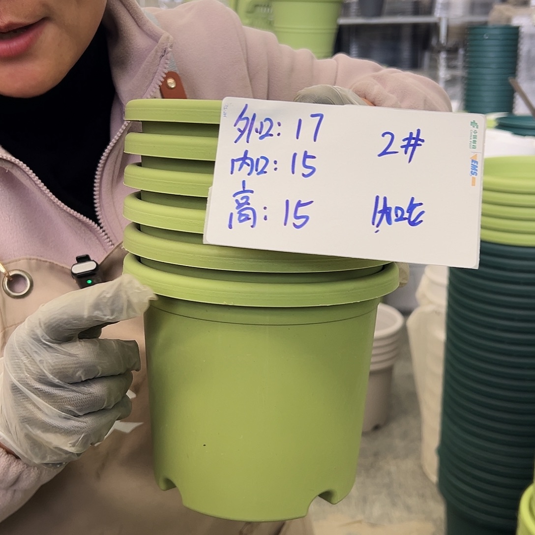 四季盆2#果绿色10个无托