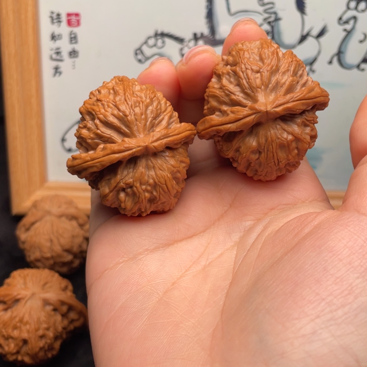 【闪购商品】文玩核桃把件40全品蓟县元宝