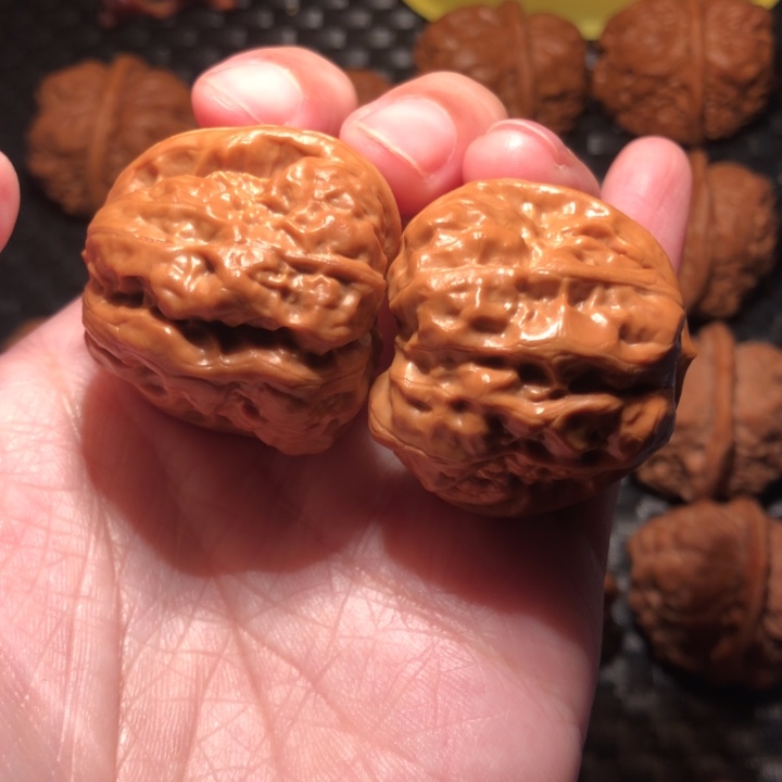 *****把件文玩核桃蛤蟆