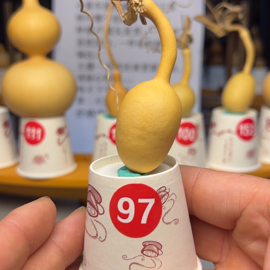 闪电购自助下单编号97