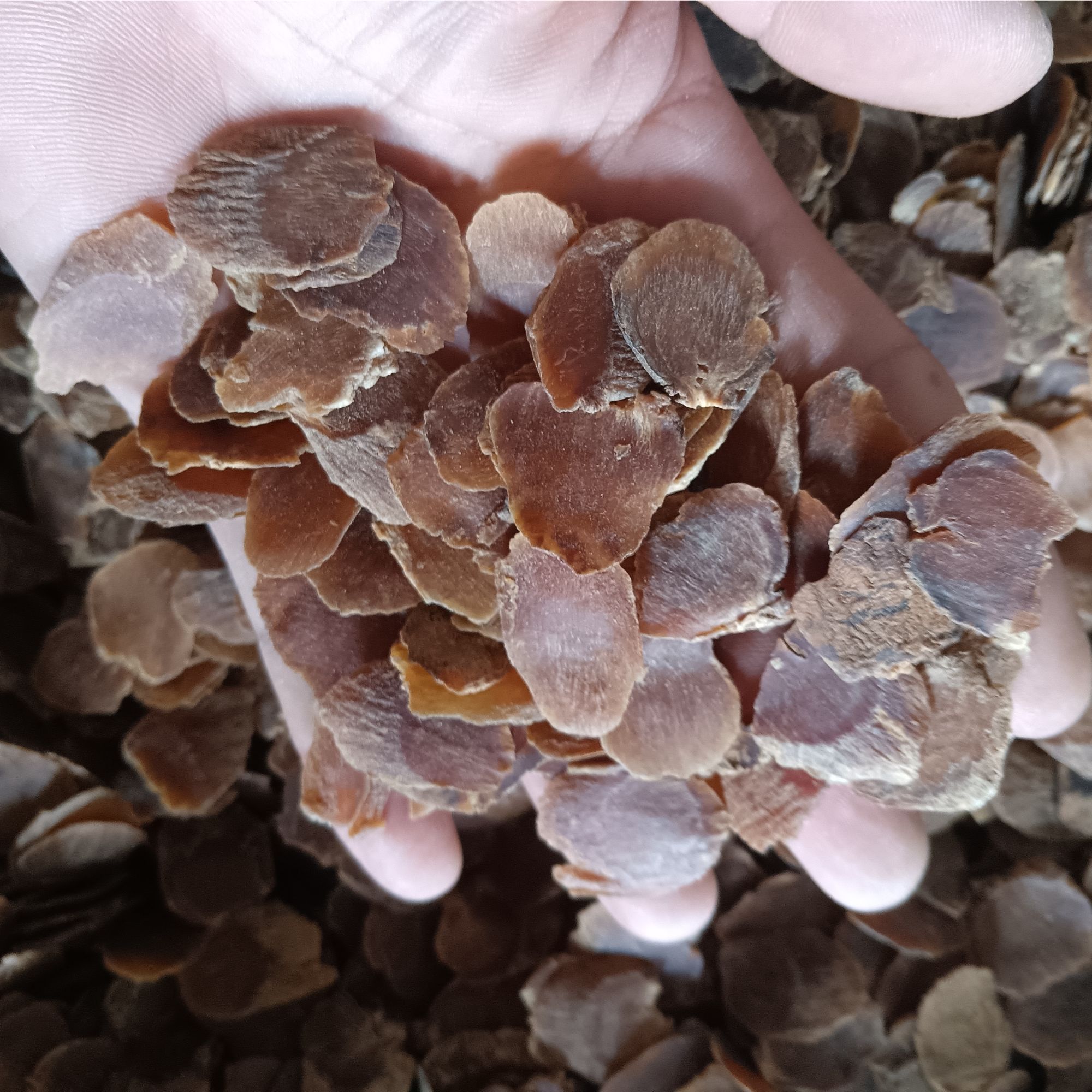 长白山特产老皮红参片 二刀片 食用农产品红