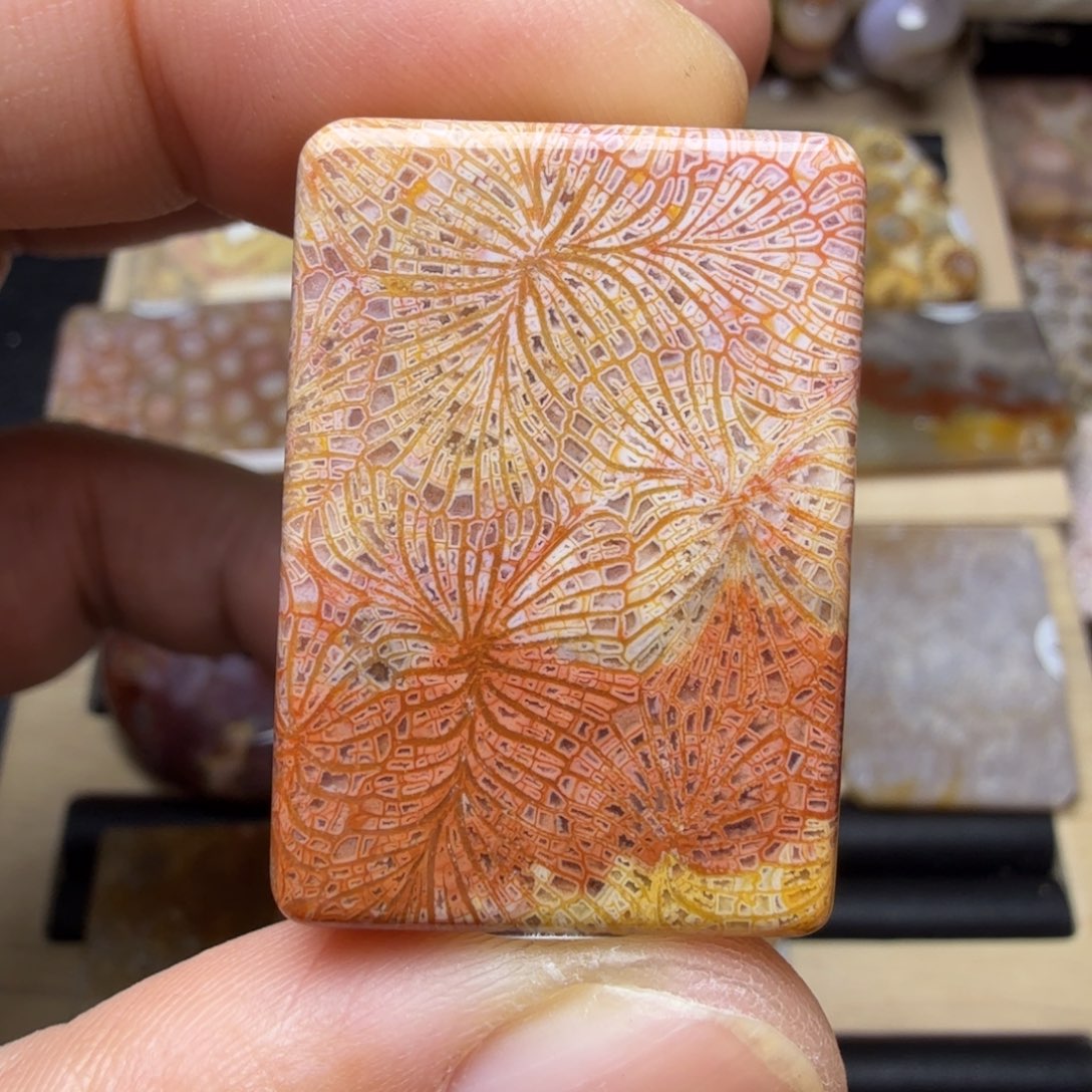 硅化玉未镶嵌纯天然色有机玉石保真色