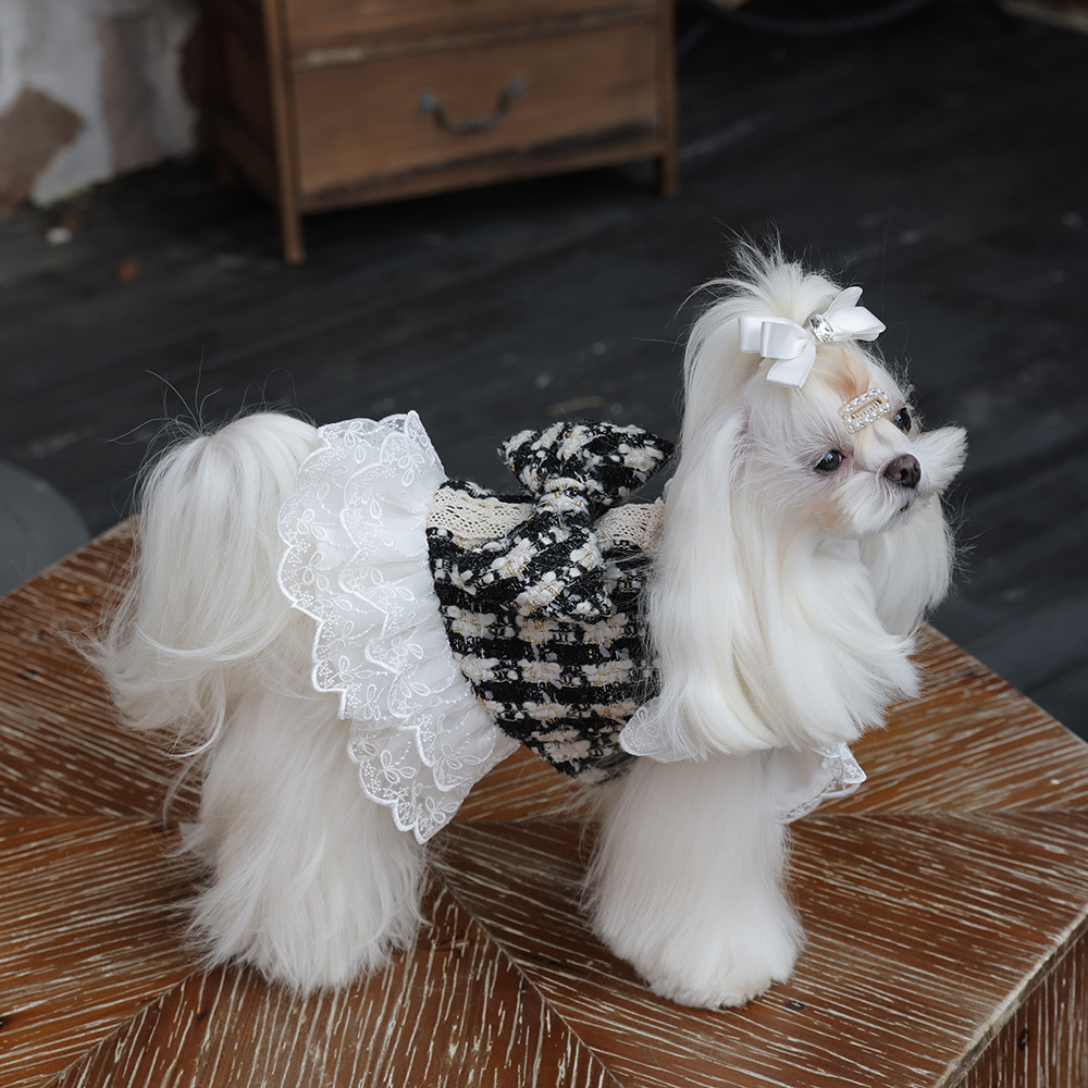 黑白香风格纹蕾丝蝴蝶结宠物贵族裙