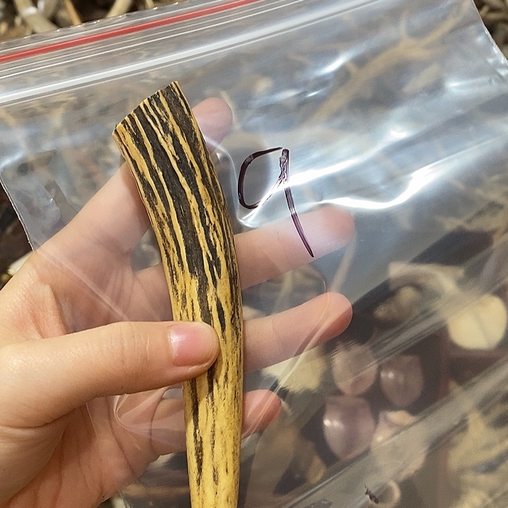 草***羊无非金属鹿角鹿角