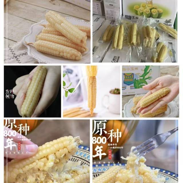 拇指玉米1kg20根左右