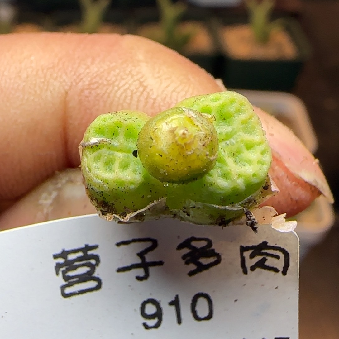 福利。  1410.654。   