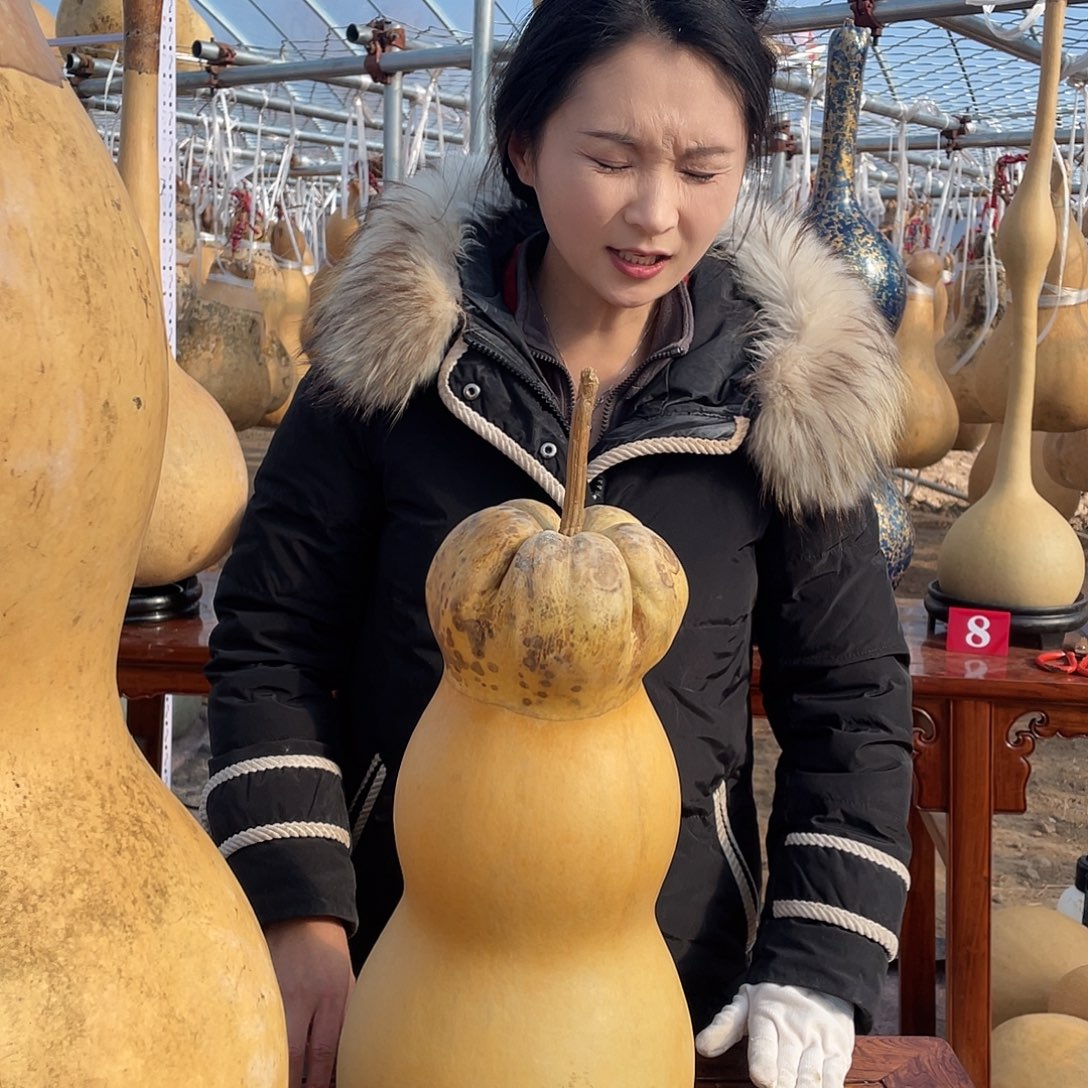 匠***梦木大葫芦不包邮大葫芦