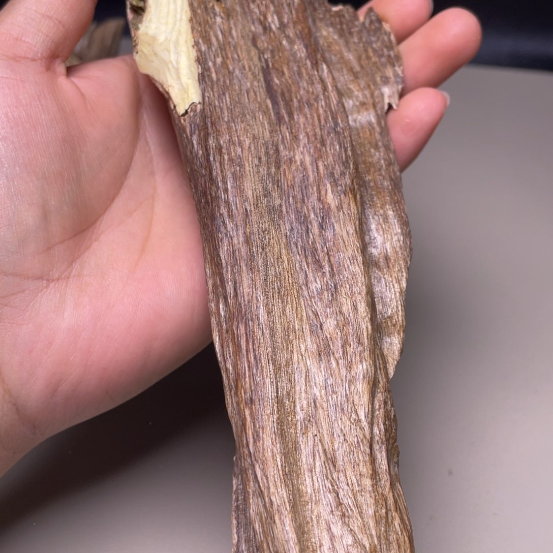 香榧木海南天然木艺品226克