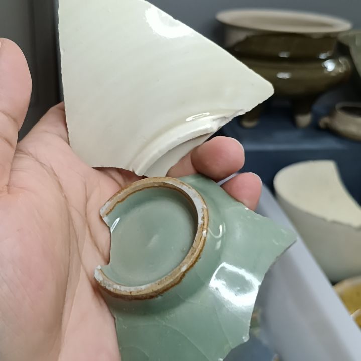 各类瓷片标本两块