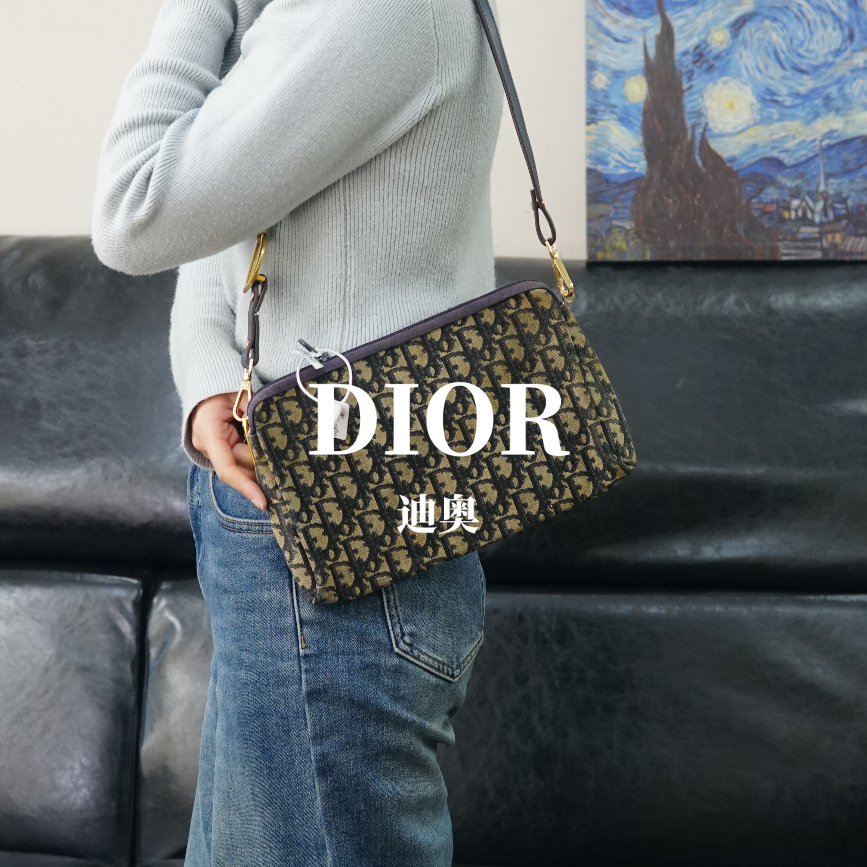 95新 DIOR/迪奥 老花单肩包/F3JJ12218733/8733