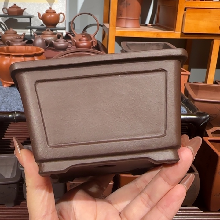 花盆紫砂口径10深度6