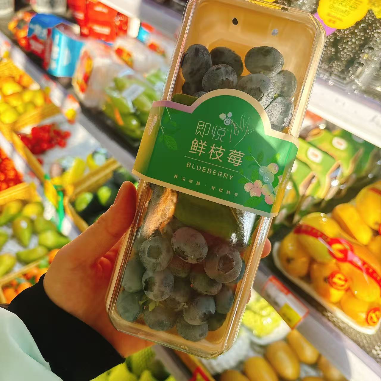 枝蓝莓长条盒280g黑龙江省