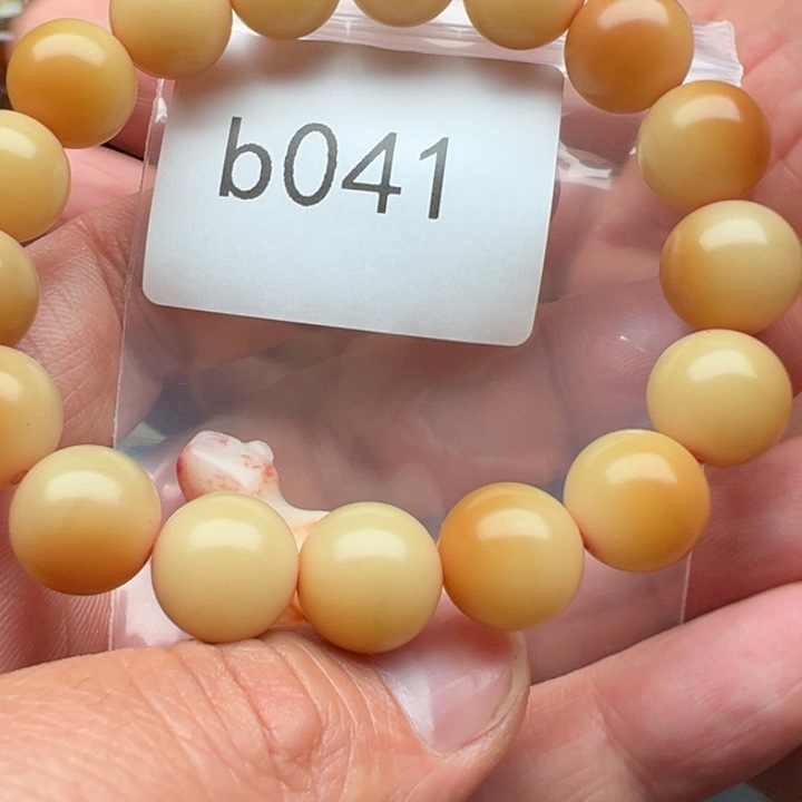 手串菩提根/象牙果