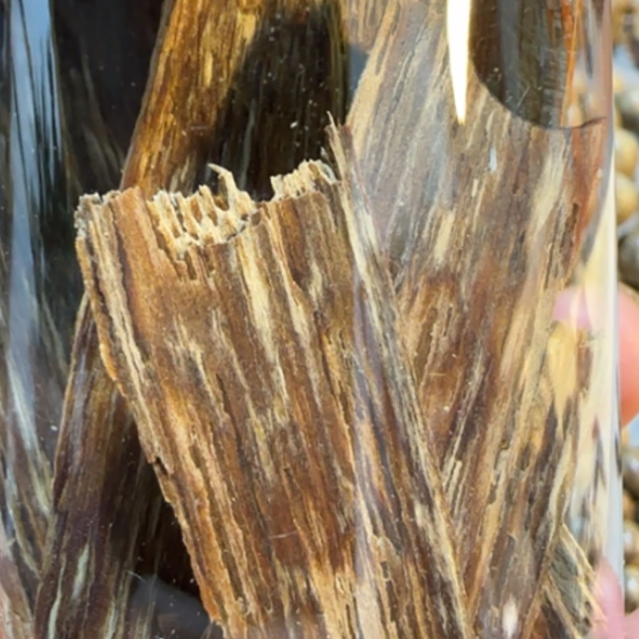 【闪购商品】沉香手串柬埔寨品香料16克