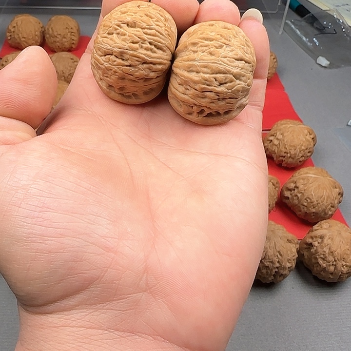 桃核把件仔****y铁锤妹妹