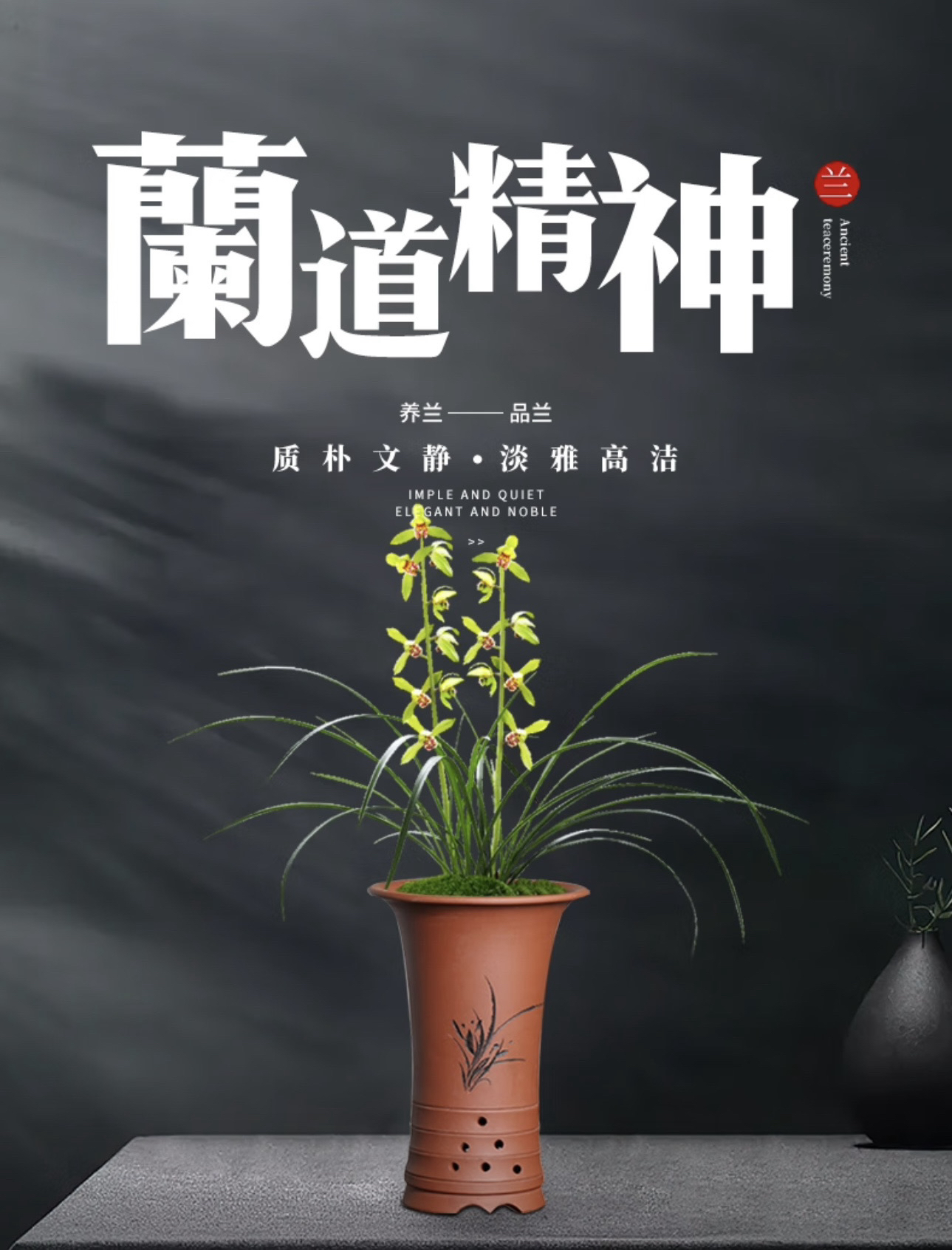 随州浓香型惠兰春兰九节兰九头兰兰草花苗兰花兰花盆栽室内