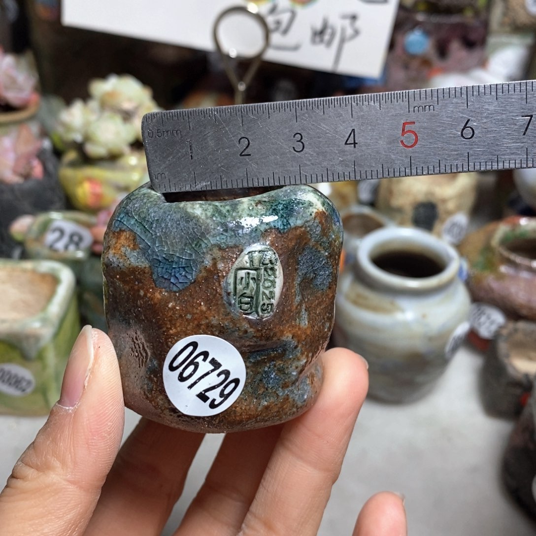 花盆拍3送一个小礼物