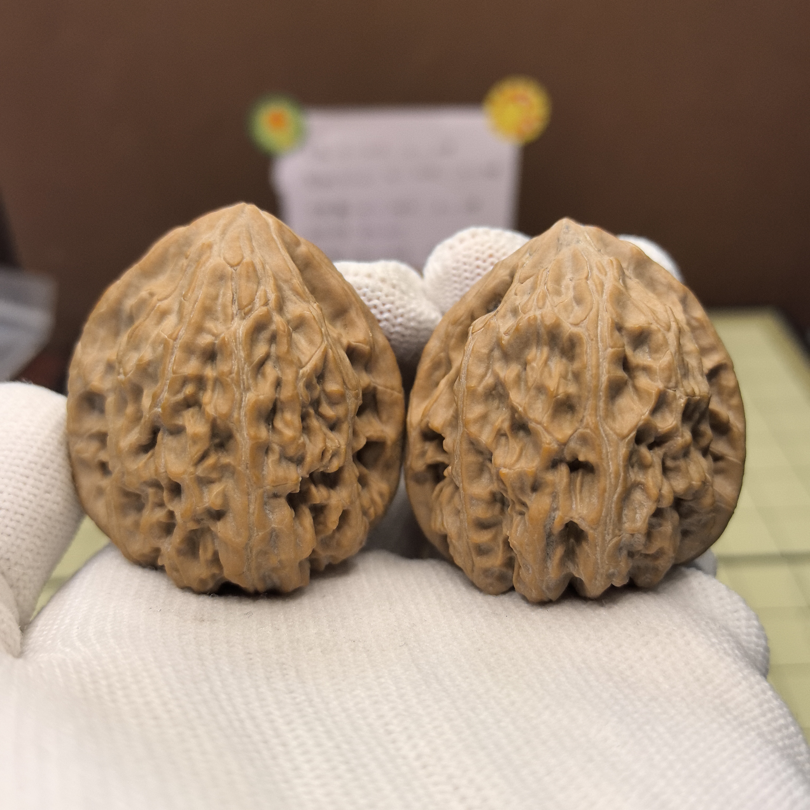 全品平谷寿桃核桃 40尺 小众高端品种 杏腊皮 走色漂亮！很哇塞！