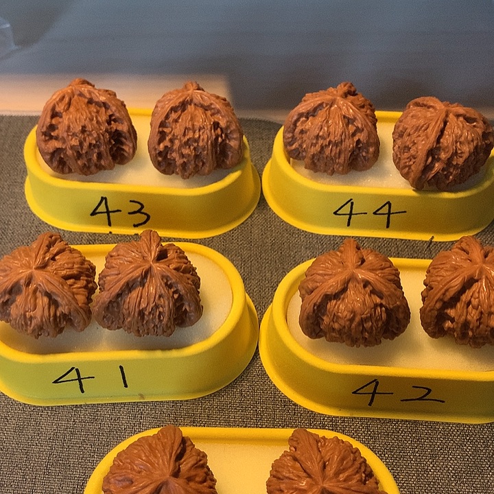 毛***学吊坠文玩核桃1111111