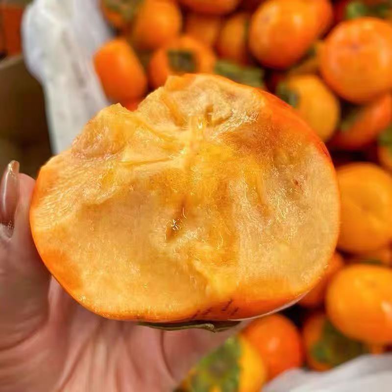 正宗新鲜广西恭城脆柿10斤装包邮自家果园不打农药不打蜡不催熟