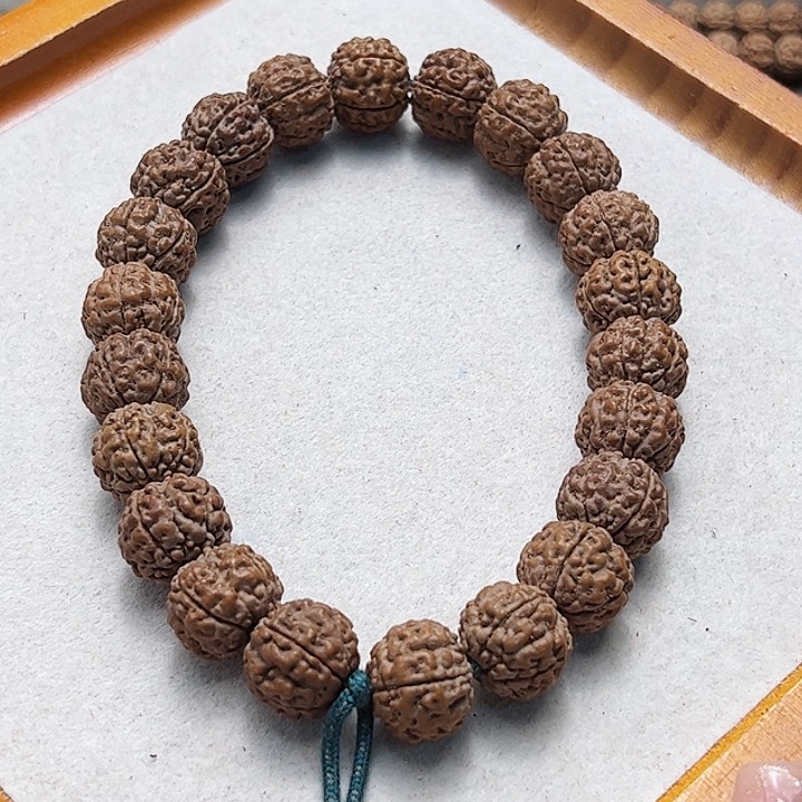 古树跳跳龙精挑手持15➕