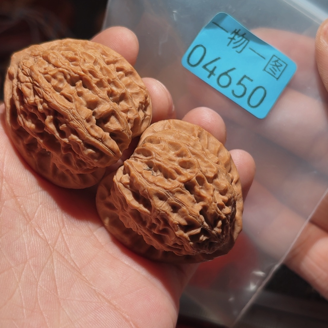 把件文玩核桃金牛