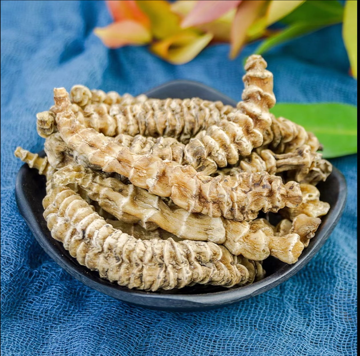 云南大山高原特产虫草参