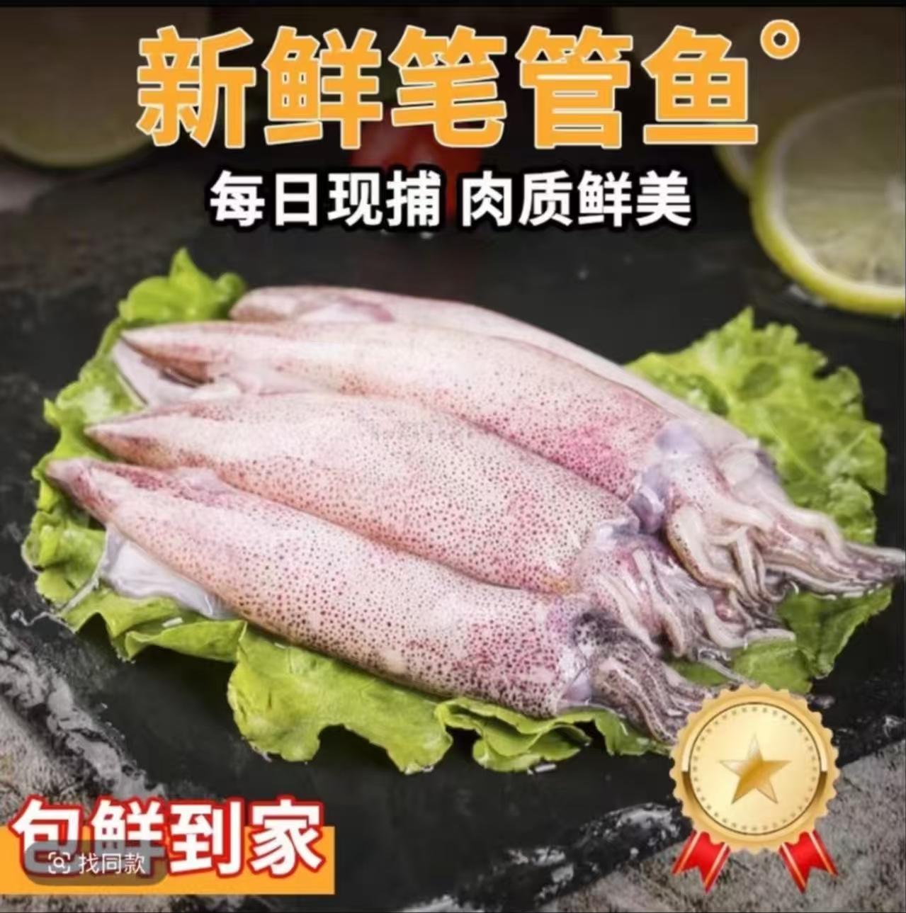 新号开播 新鲜野生笔管鱼原浆海免净重四斤介意小慎拍顺丰包邮