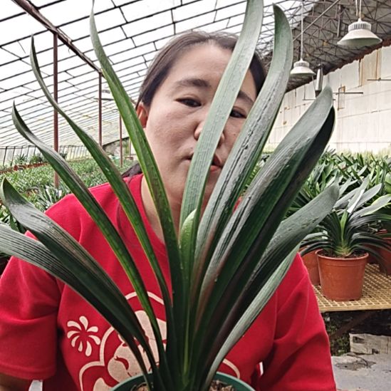 勤***奋无花朵勤奋     的35