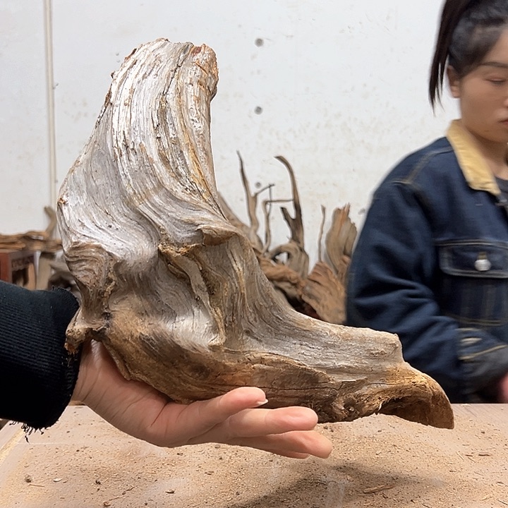 柏木用****3我们都是好孩子