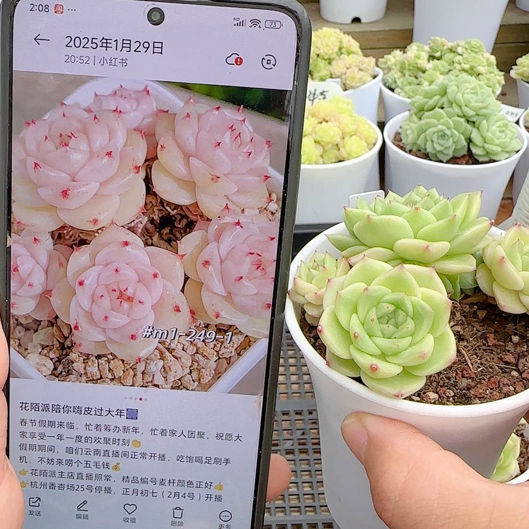 N****【闪购商品】0630-52（m1-249-1）